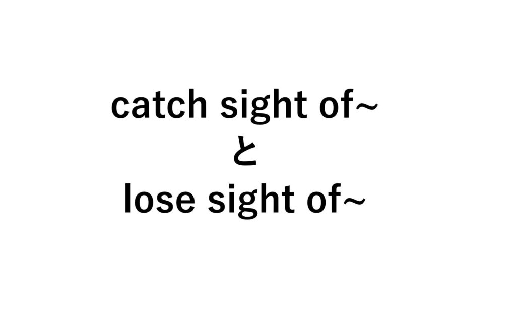 catch sight of/lose sight ofの意味とは 例文付(get/keepも) 死ぬほどわかる英文法ブログ